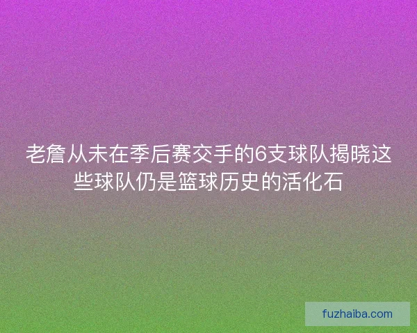 老詹从未在季后赛交手的6支球队揭晓这些球队仍是篮球历史的活化石